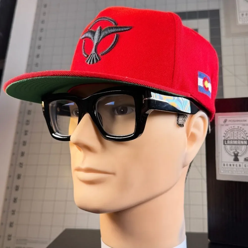 Tiësto®  |  SNAPBACK HAT  |  DUTCH DJ  |  NEW  |  RARE!  |
